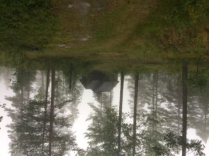 IMG_0387
