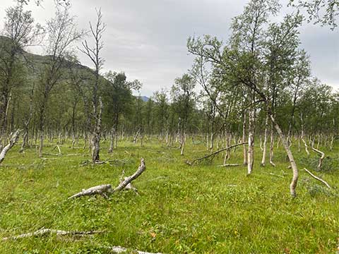 lunde gård naturen omkring