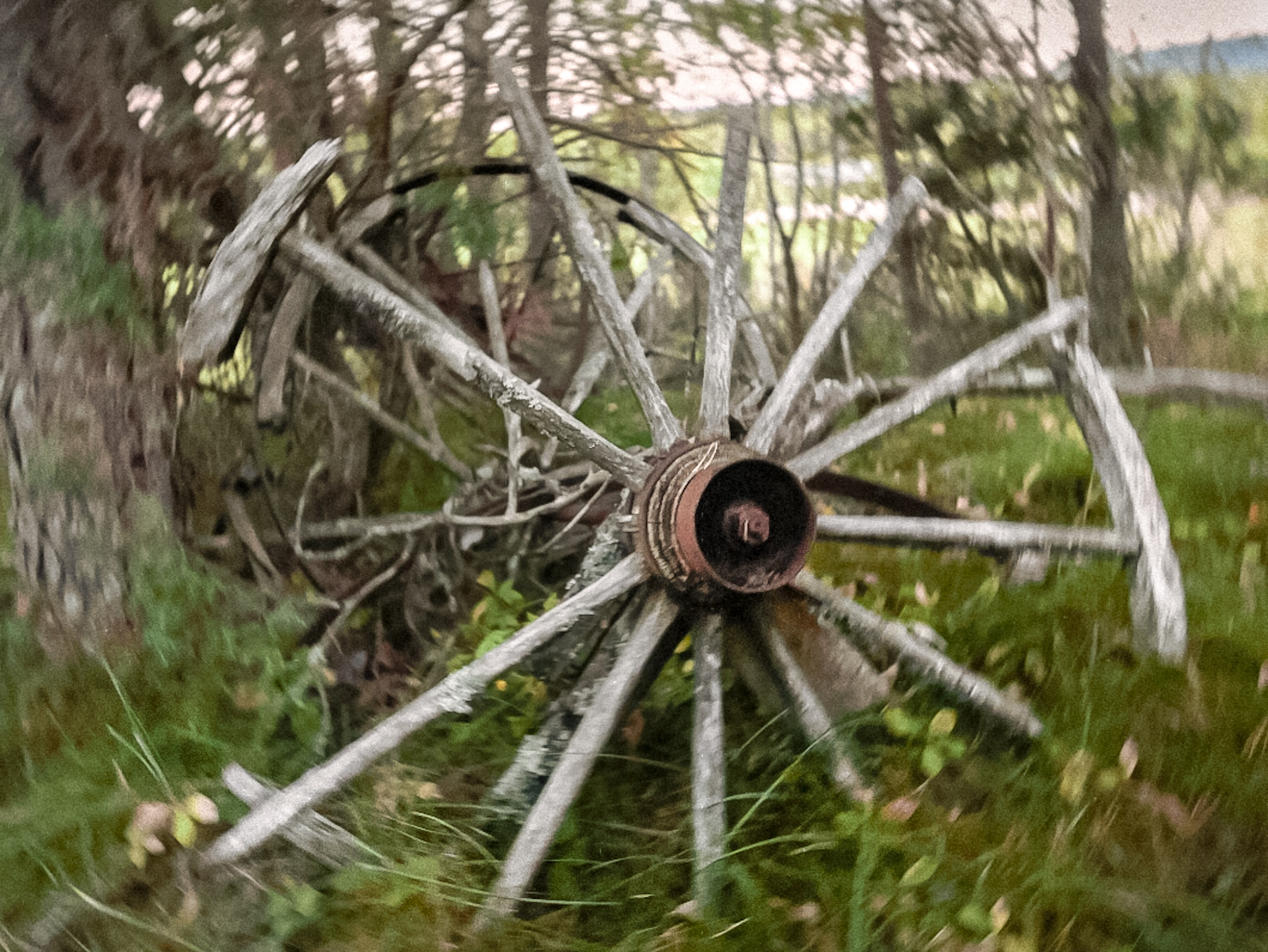 Screenshot_2025-09-17-19-52-08-17_92460851df6f172a4592fca41cc2d2e6 (2)